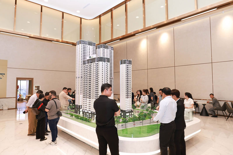 Người Mới Đi Làm, Thu Nhập Ổn Định Nhưng Chưa Có Nhiều Tích Lũy